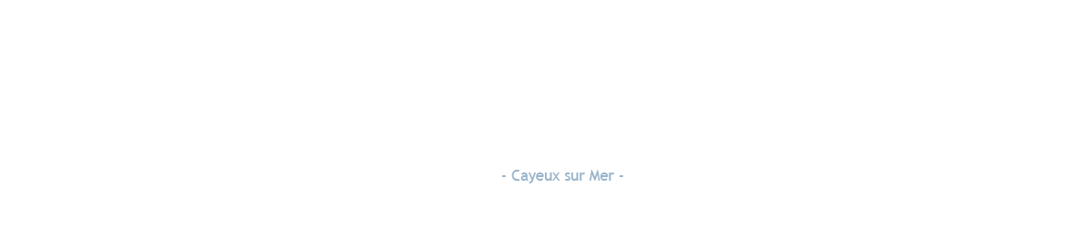 Hôtel les galets bleus